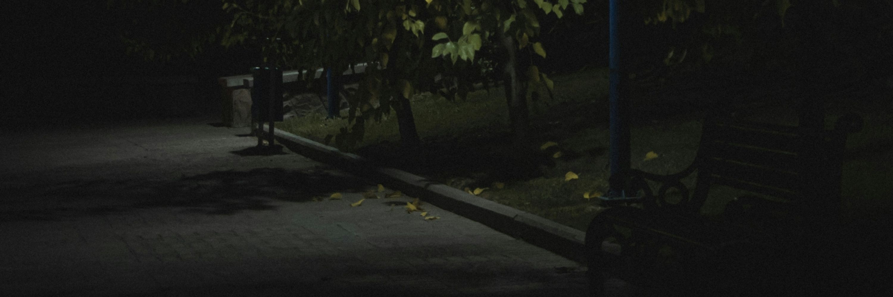 Ivan