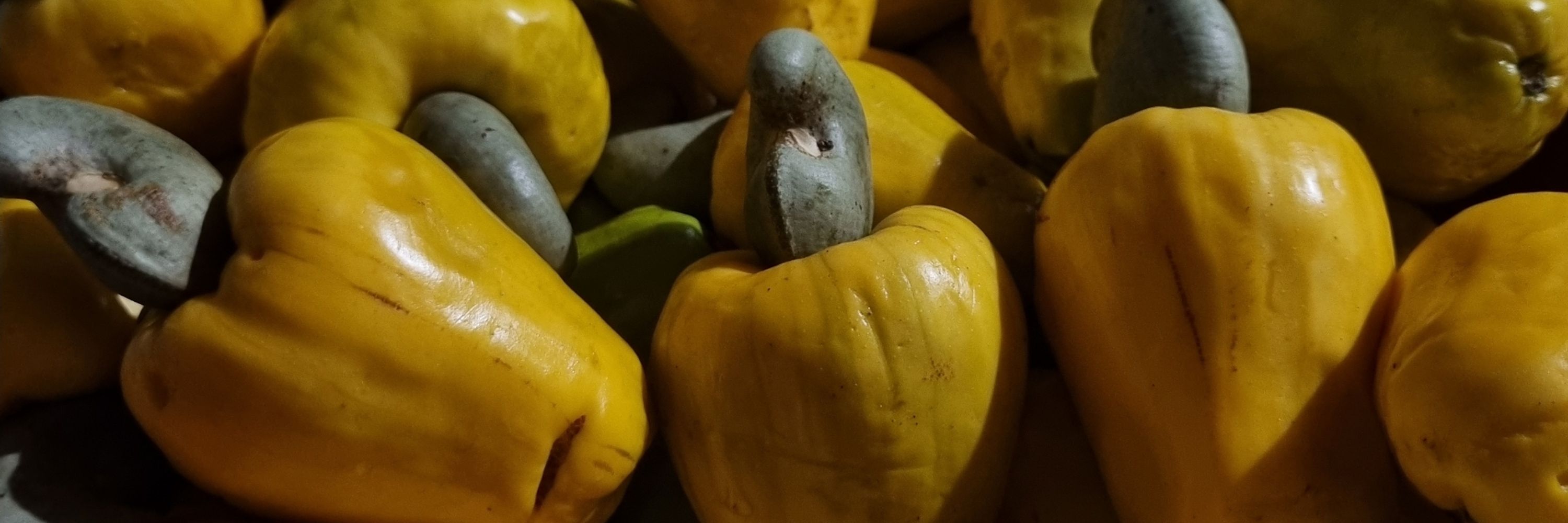 Gui