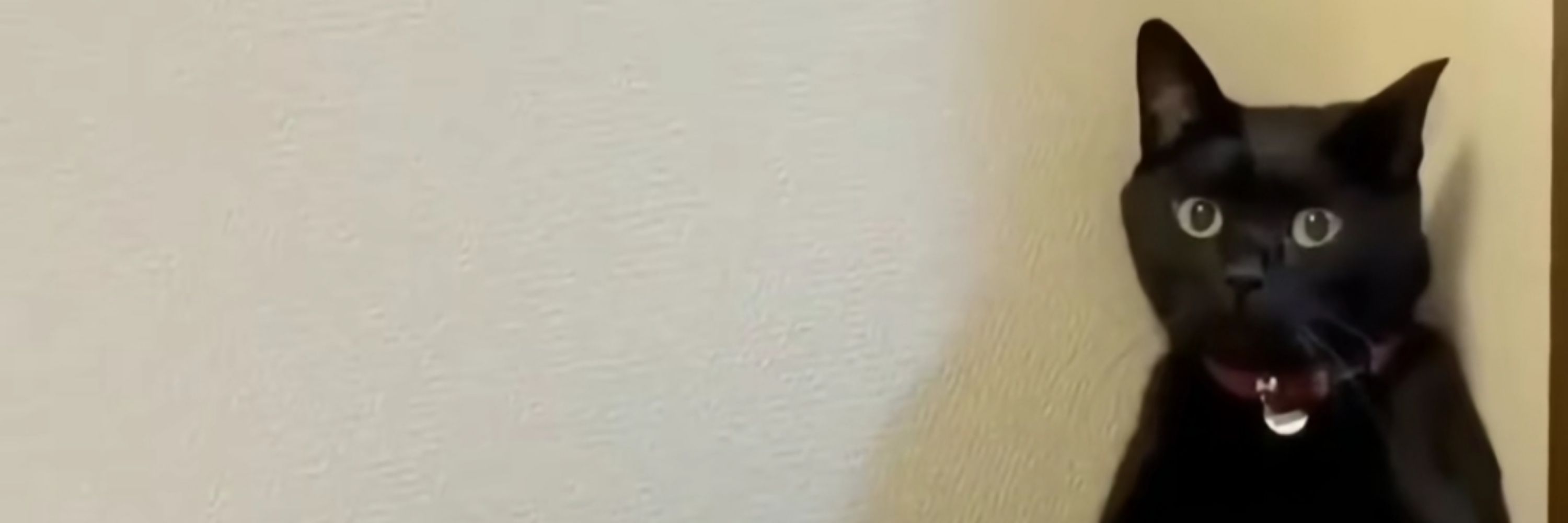oii