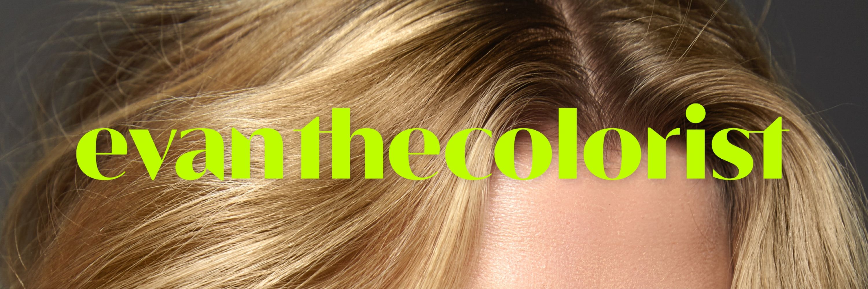 Chicago Hair Colorist