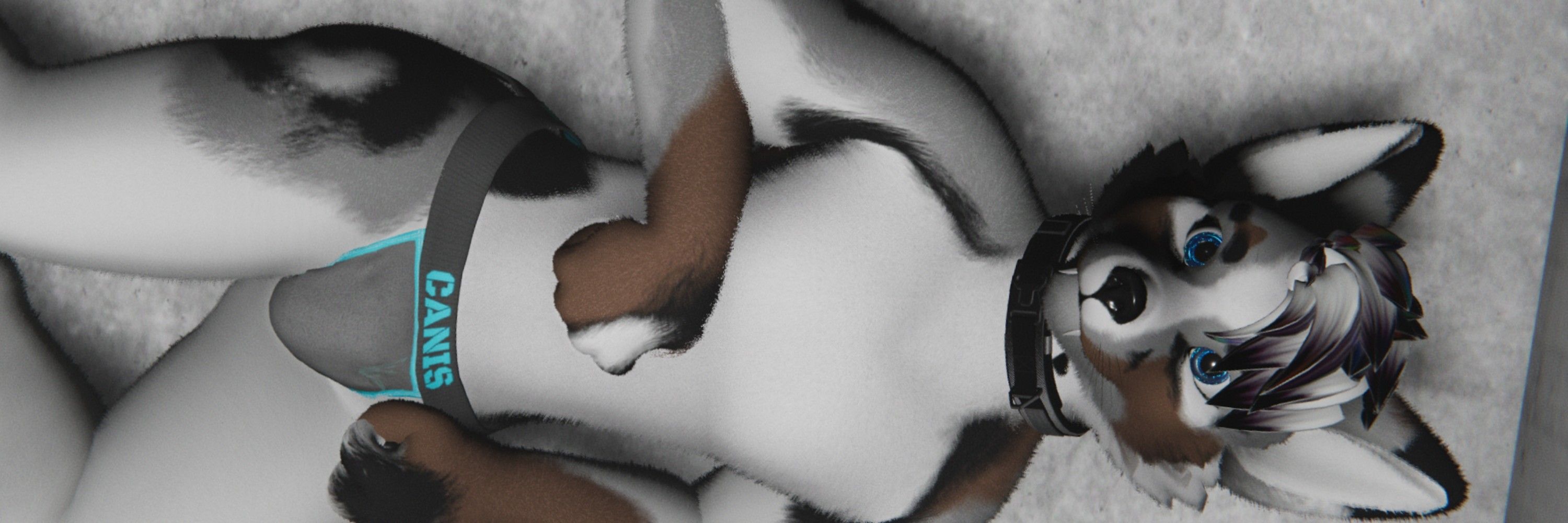 Stimky Dog