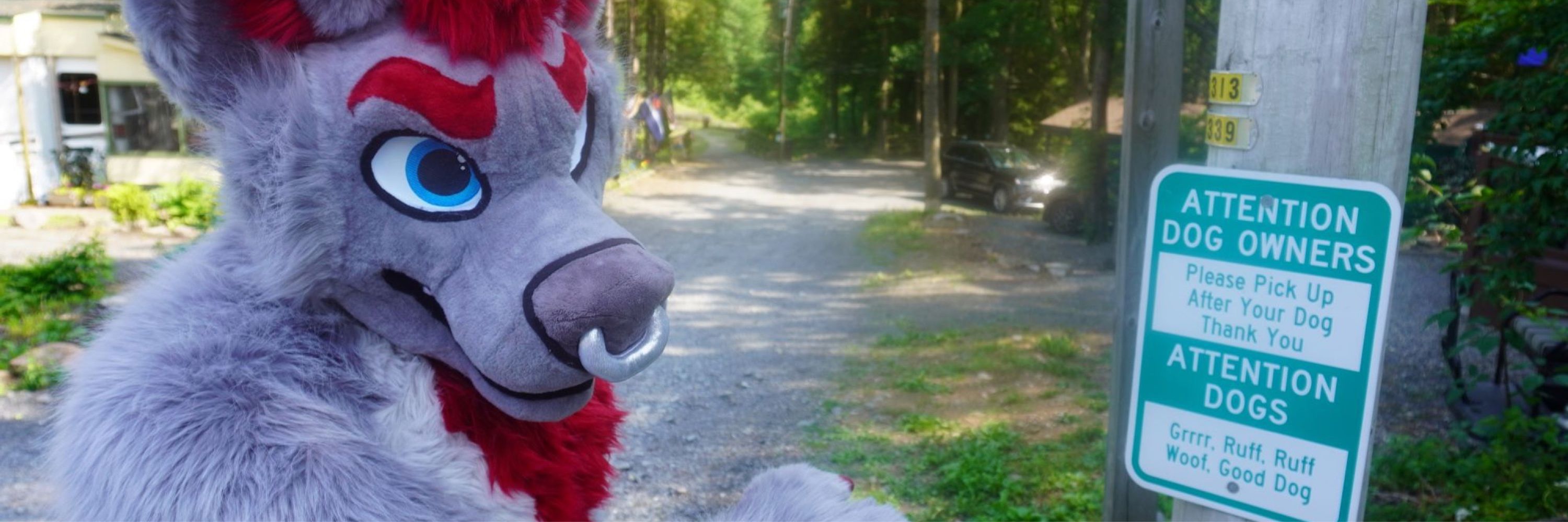 Commander » LVFC, FWA, Seattle Pride