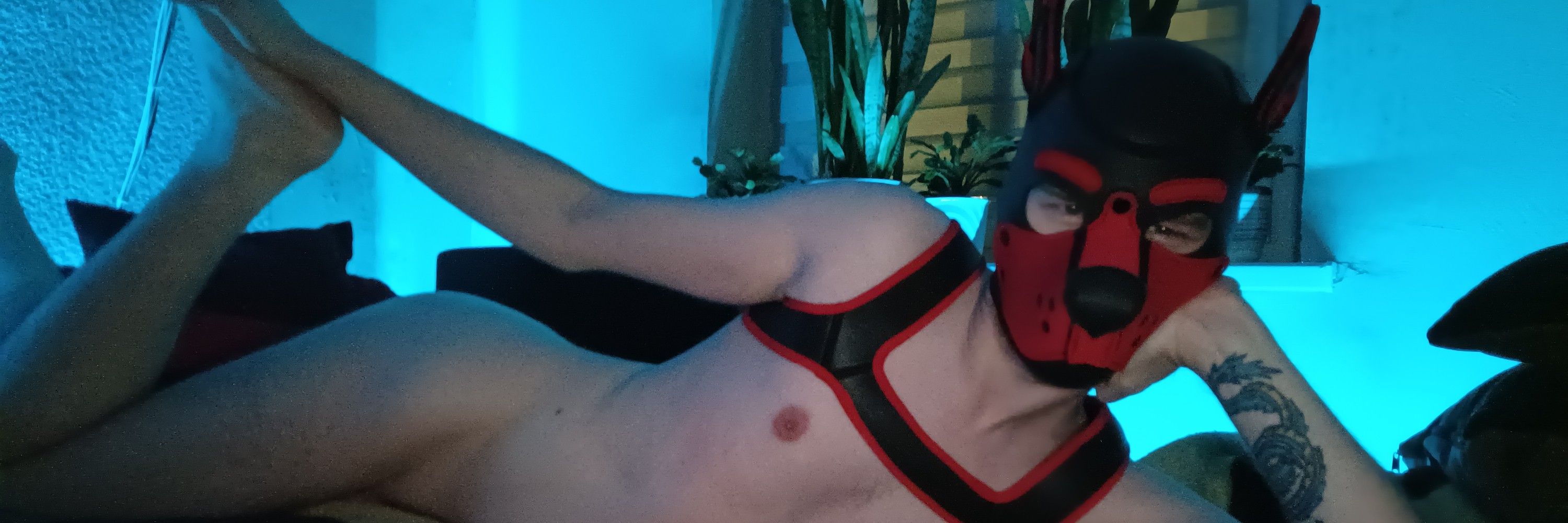 Puppy Hex