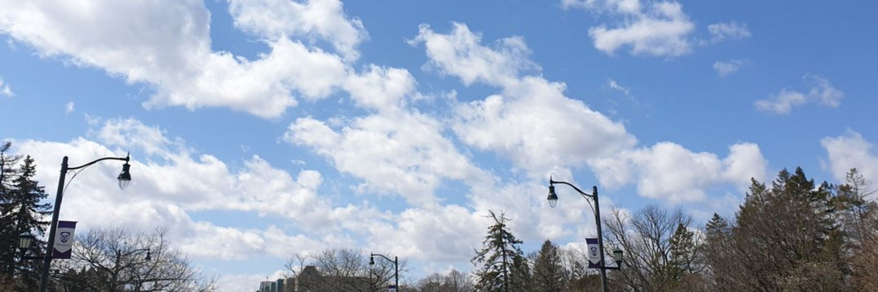𝙎𝙆𝙔⛅