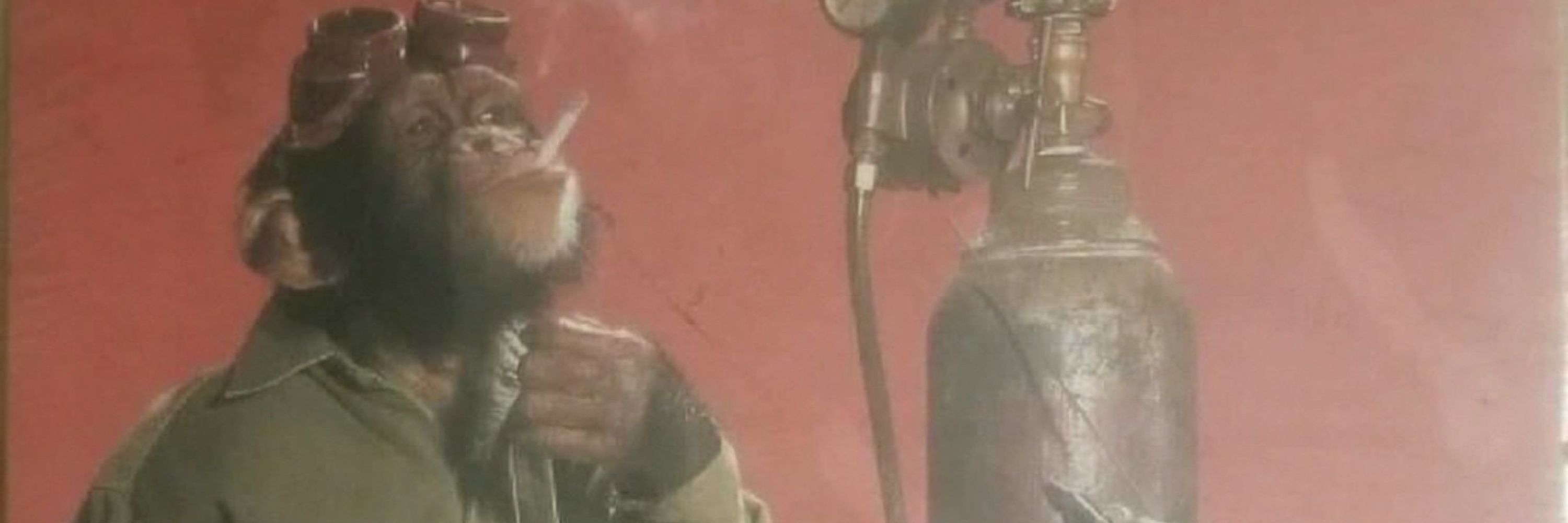 Boba Bro