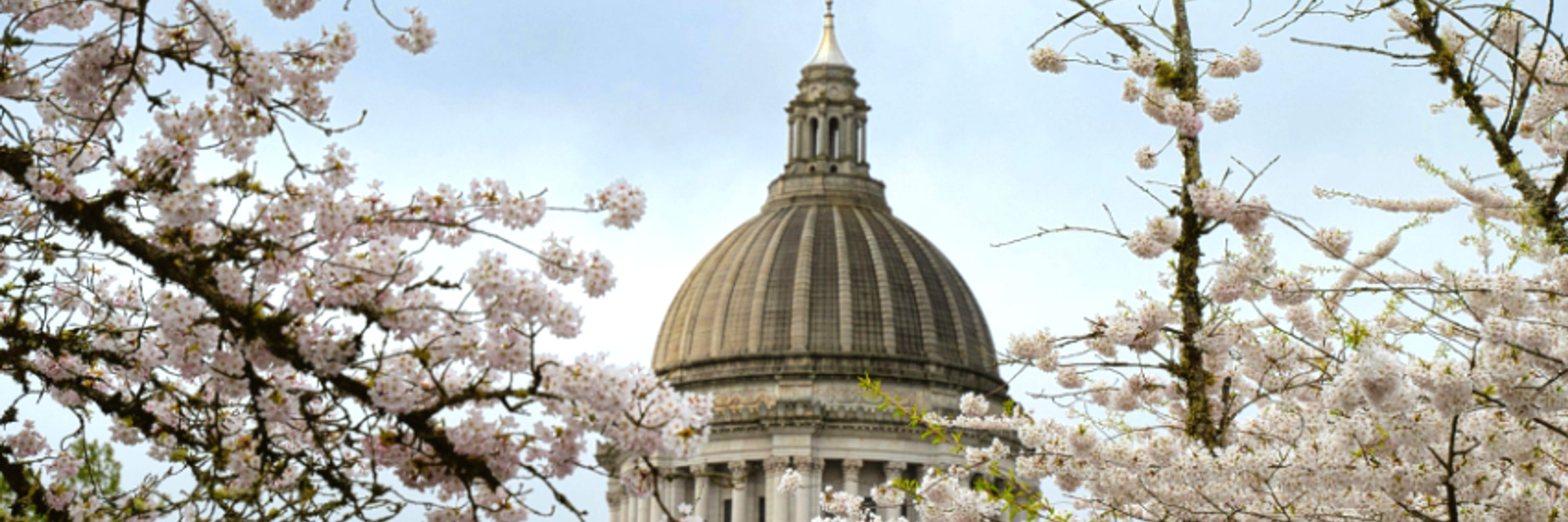 Office of the Washington State Auditor