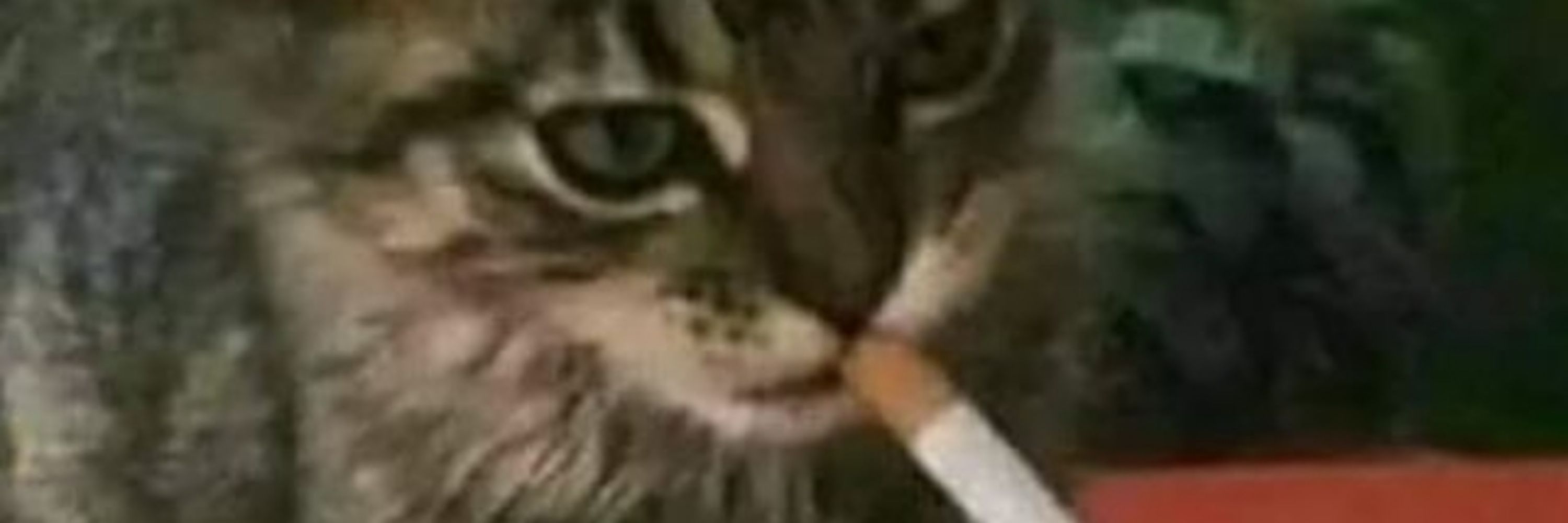 Don Wukong