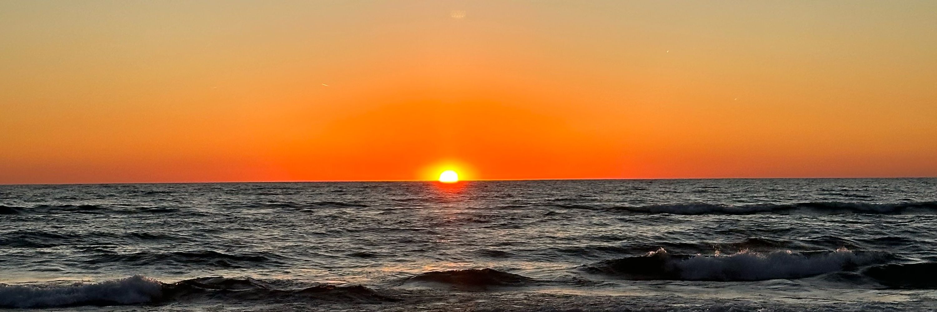 Dawn Burns