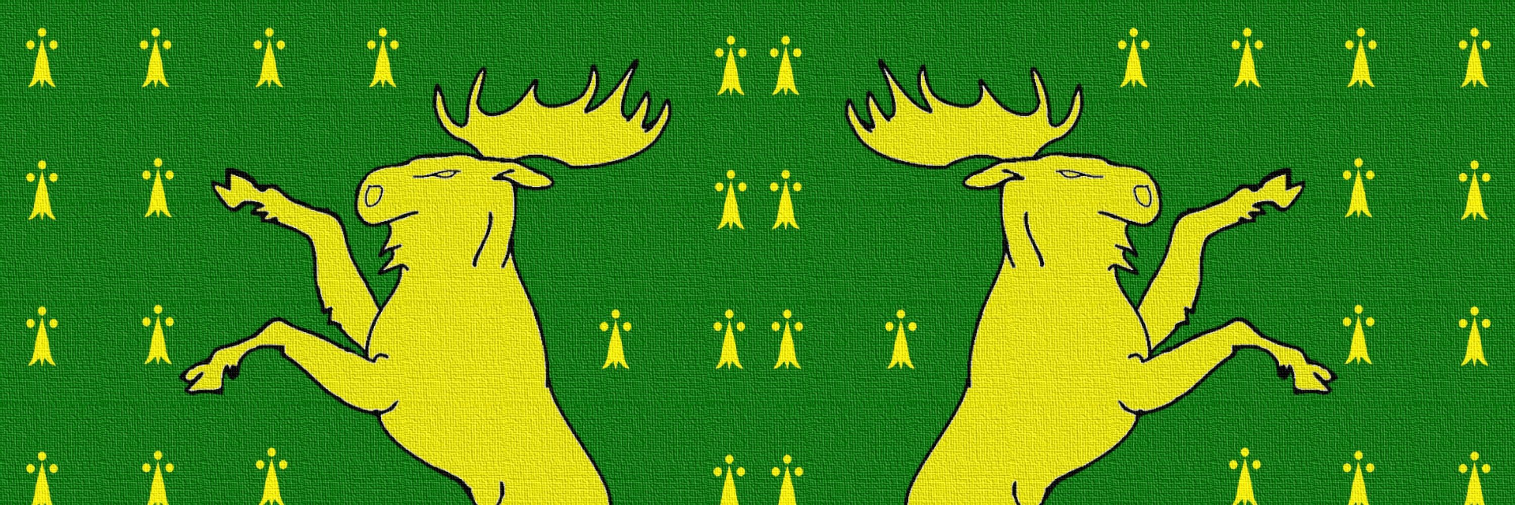 Moose Errant