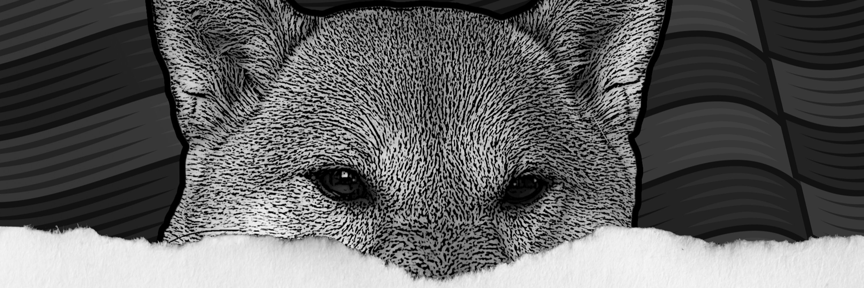 DOGE Uncovered