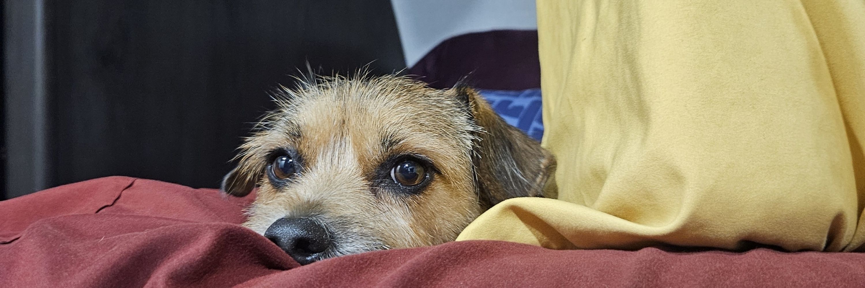Billy