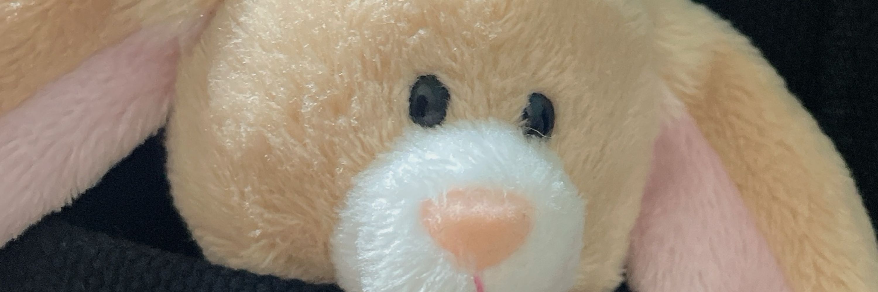 さに