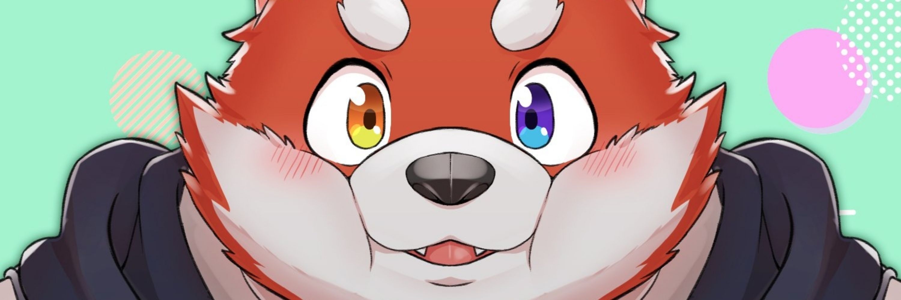 タイキKAMEN Wolf