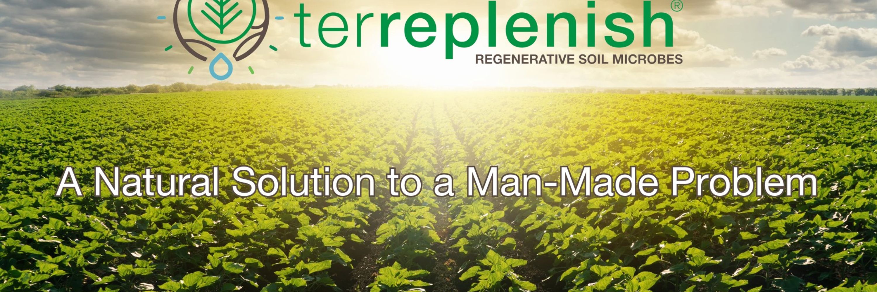 Feed Earth Now Terreplenish