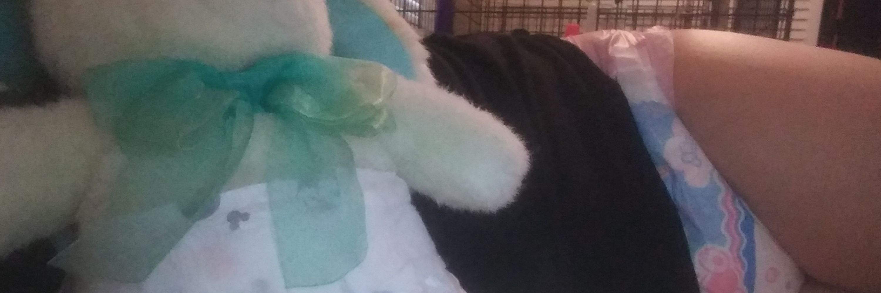 Waya Baba (abdl) (minors DNI)