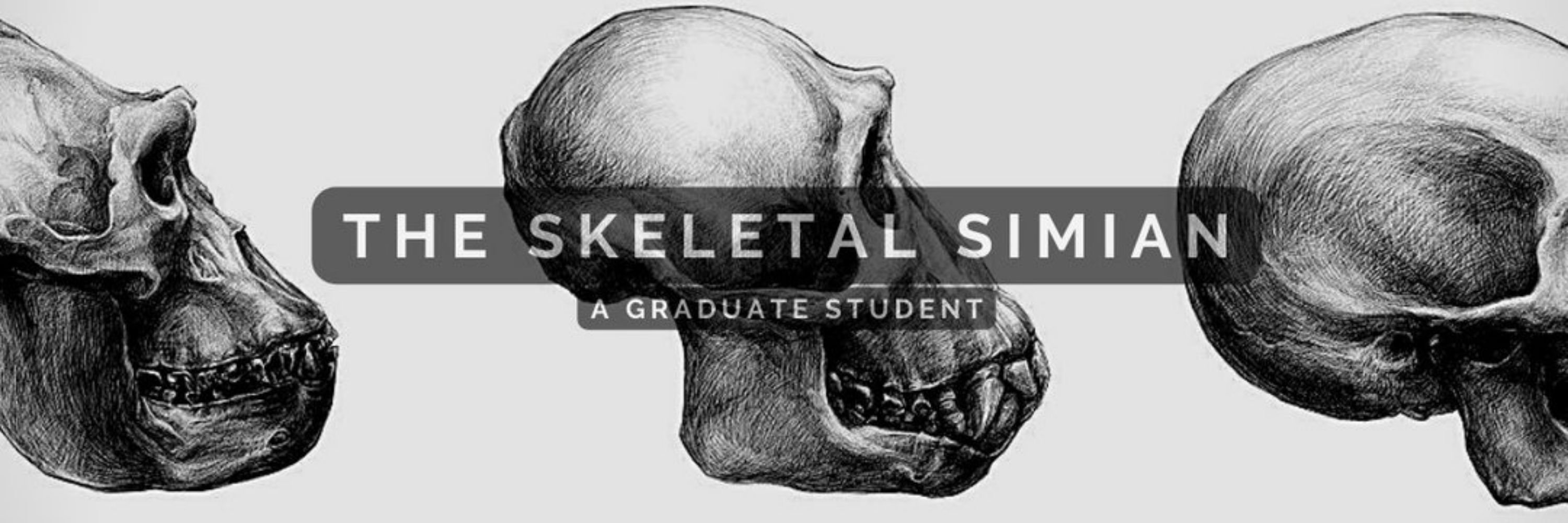 Skeletal Simian