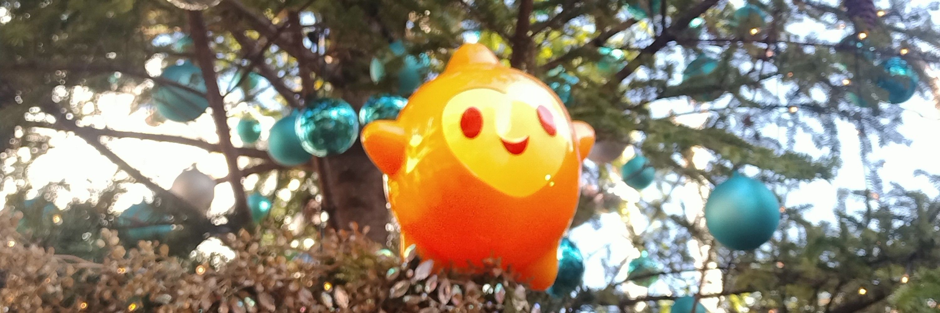 しらはゃ