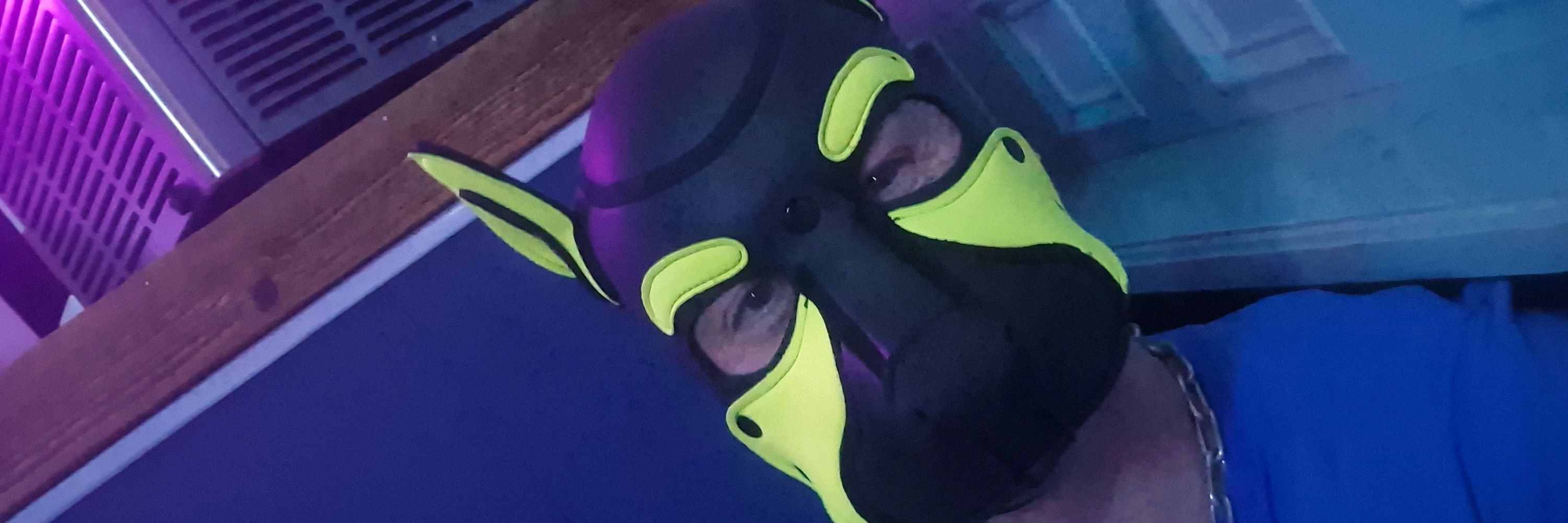 Pup-Pander➡️fetish pride masplomus