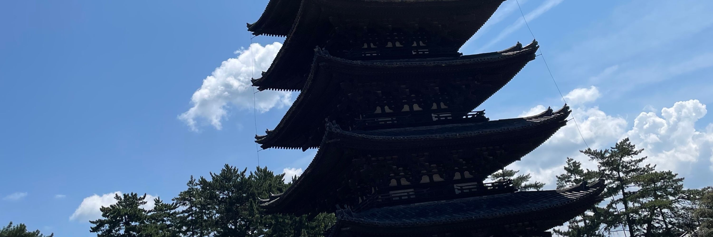 きみ
