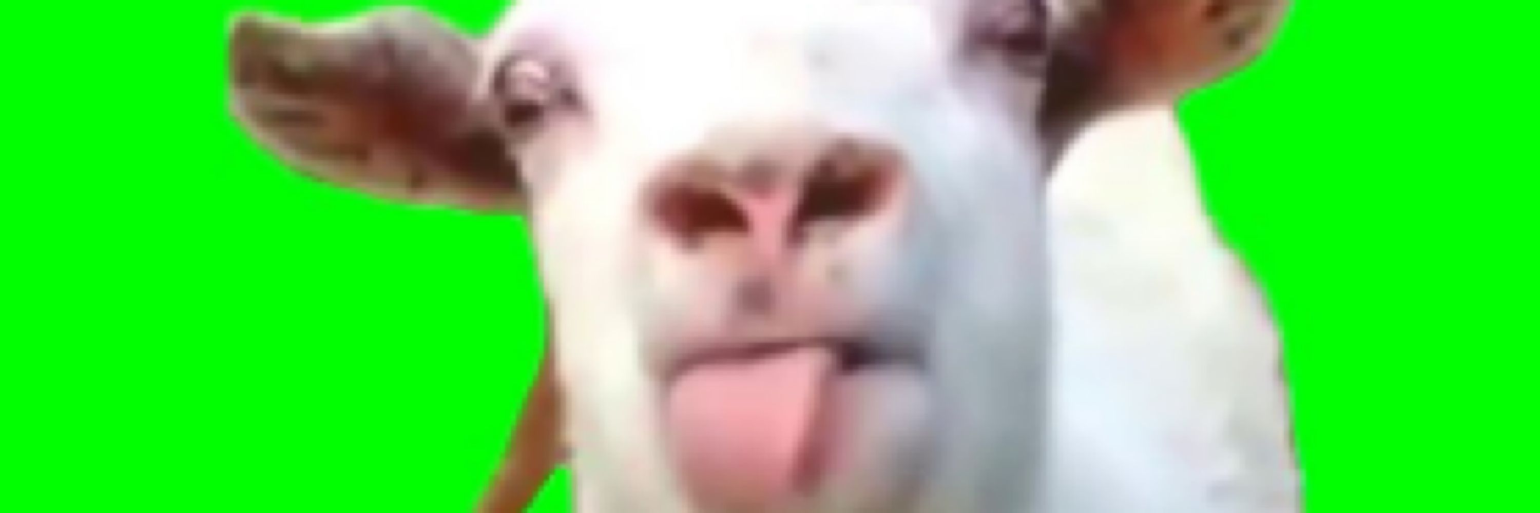 かどぴ