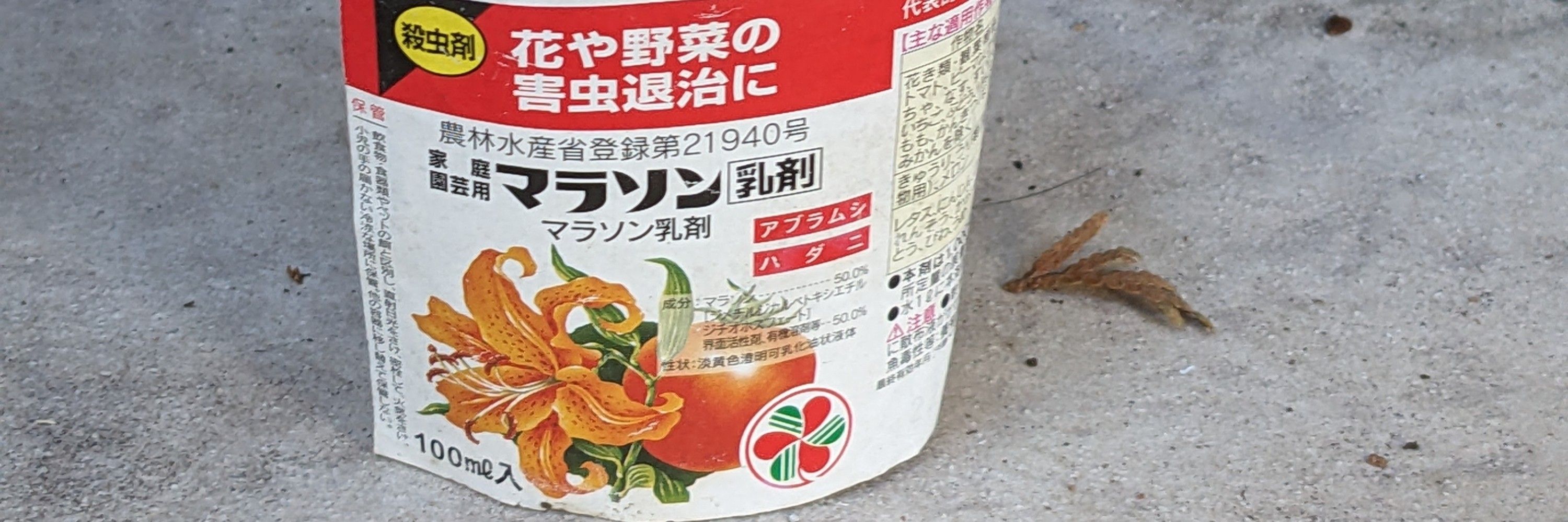 たかお