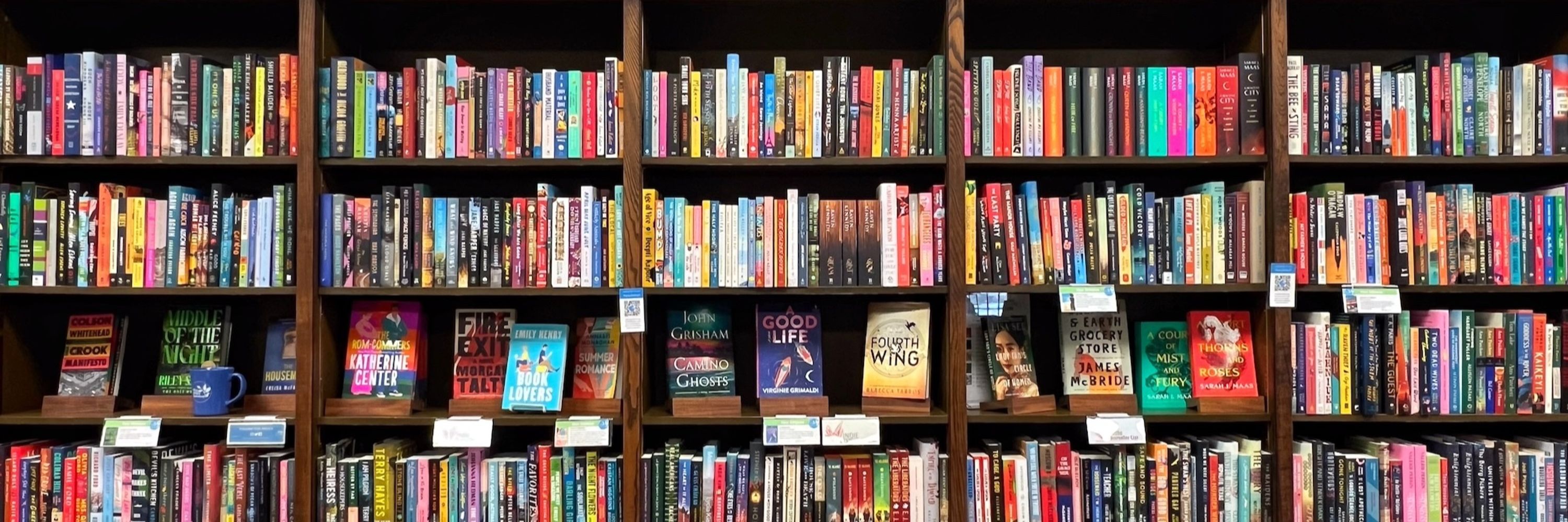 Blue Willow Bookshop
