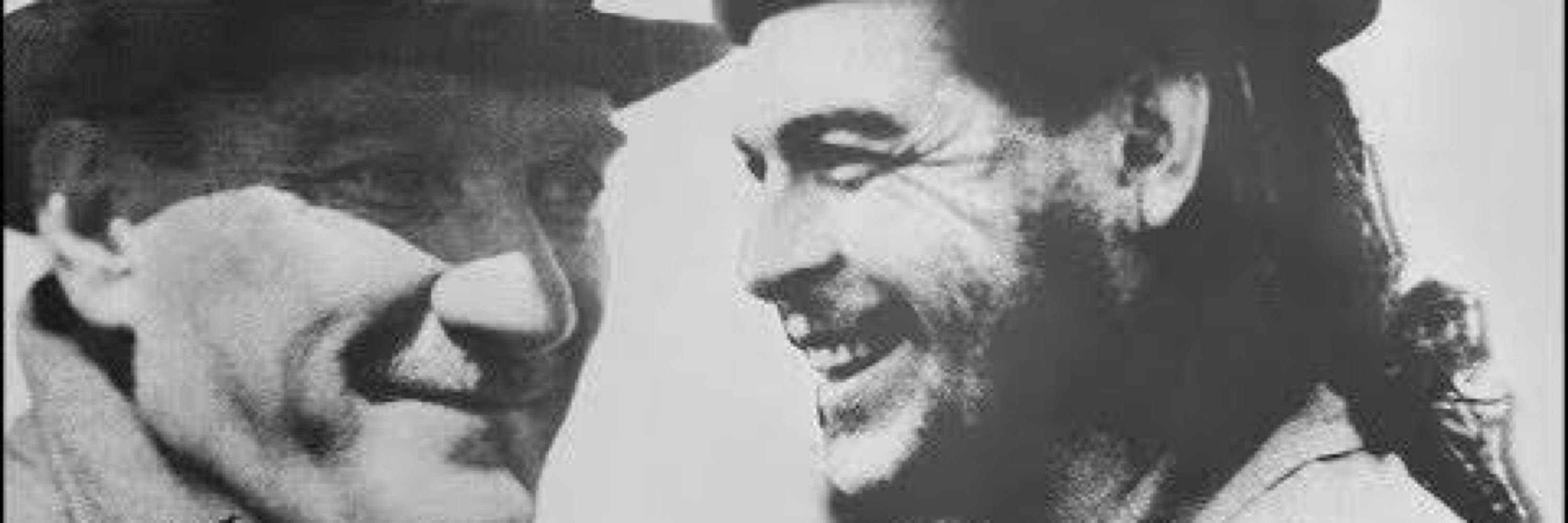 Kemalist Guevarist
