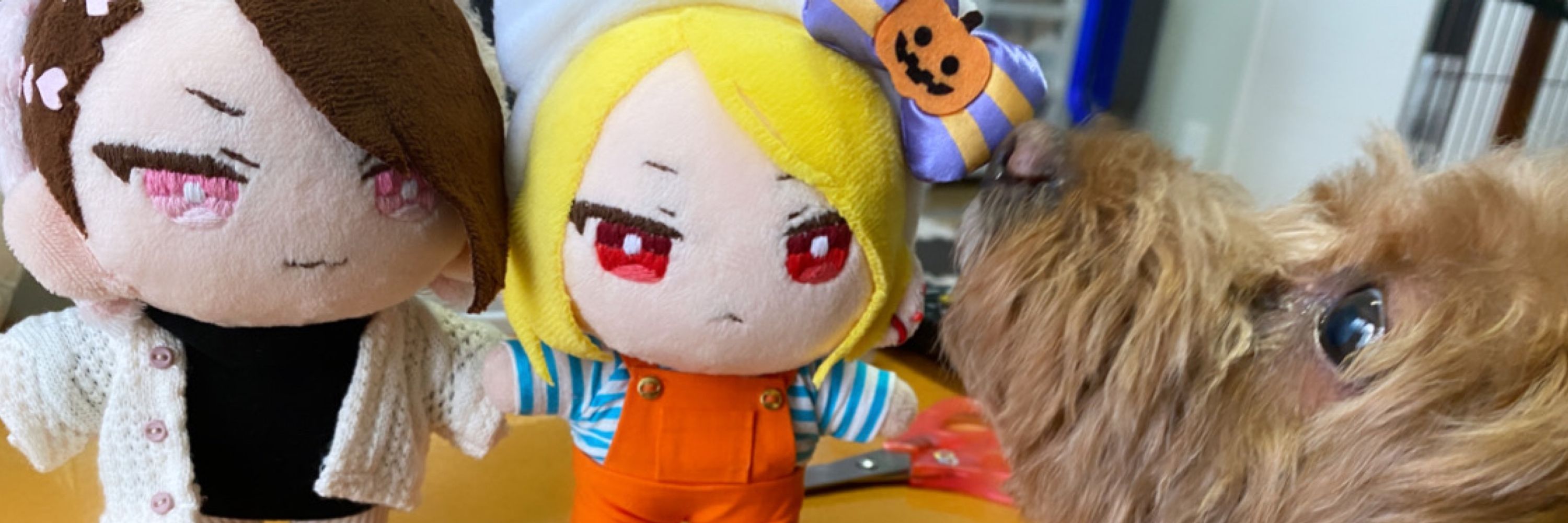 れいちぇる🐶