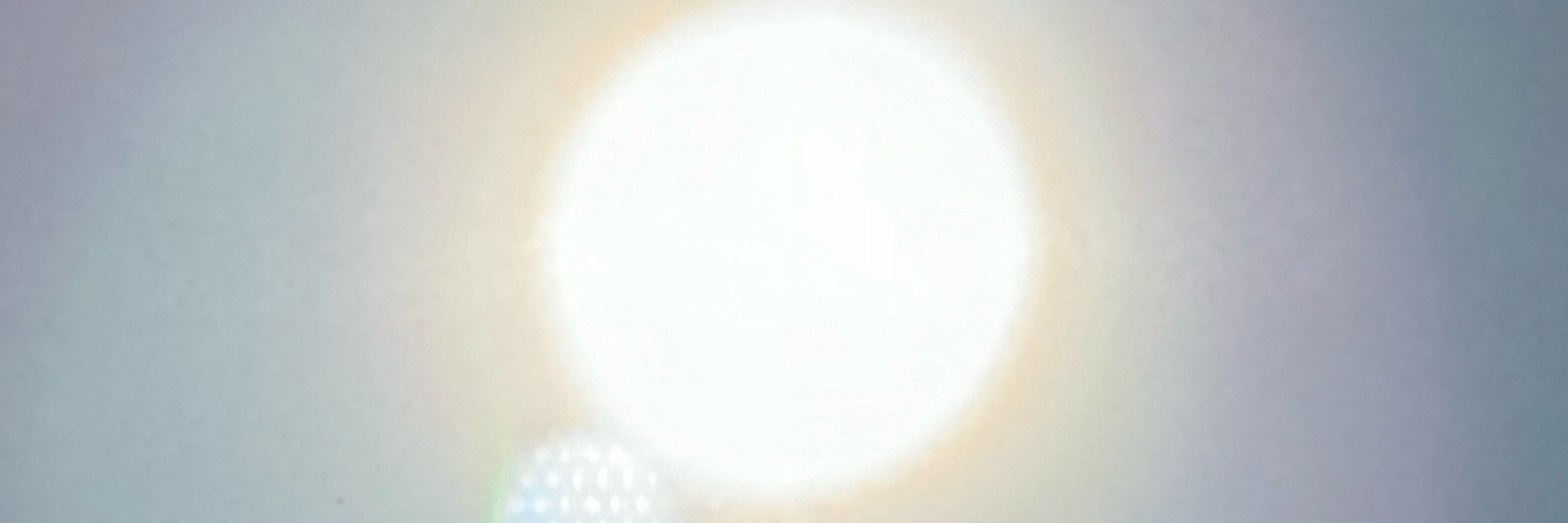 りょんりょん