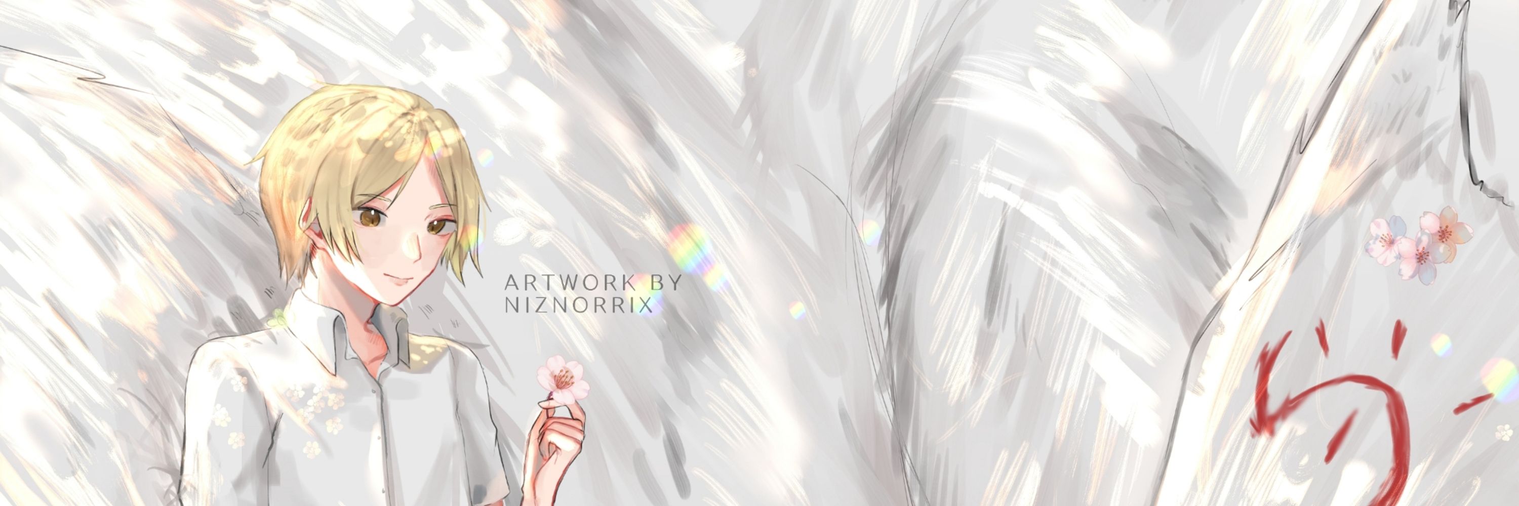 Niz Norrix