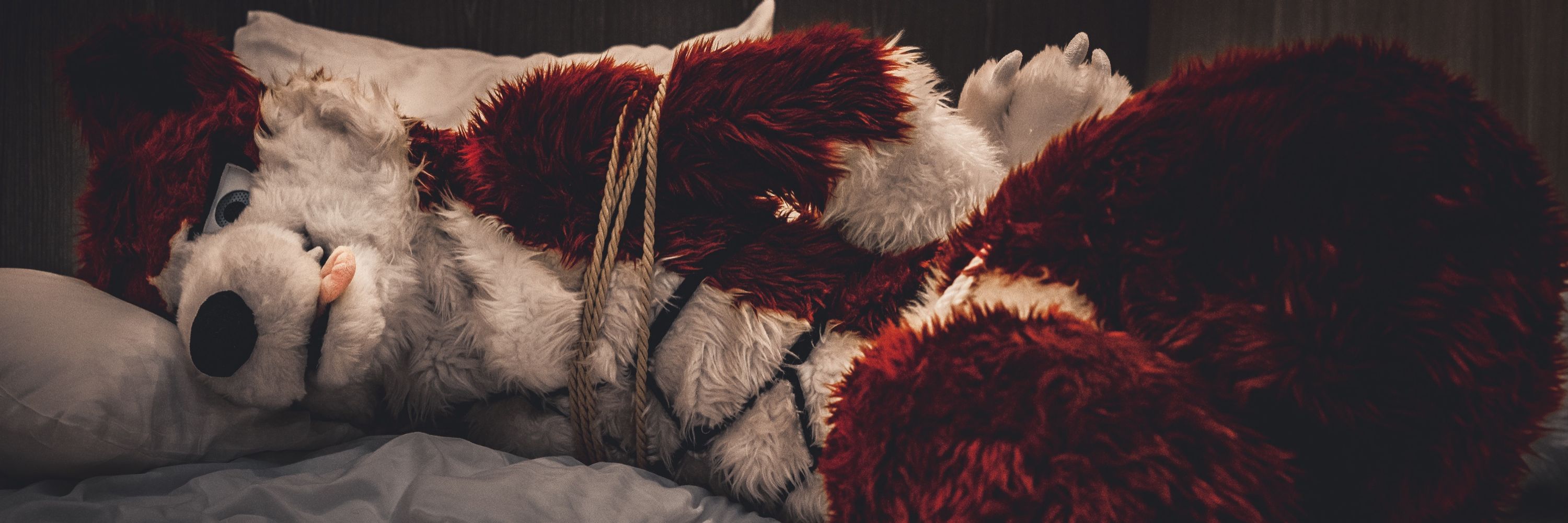 KuuWolf