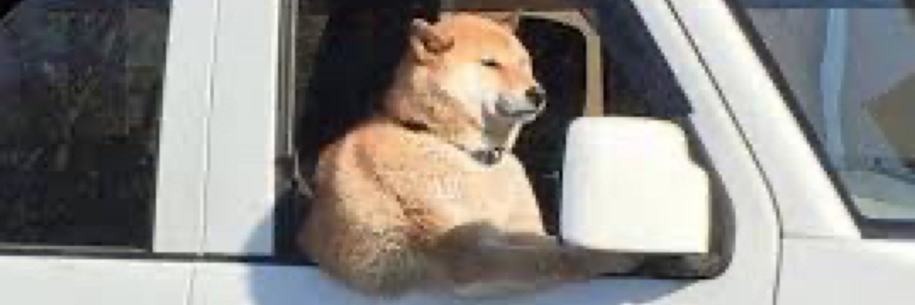 ティマ