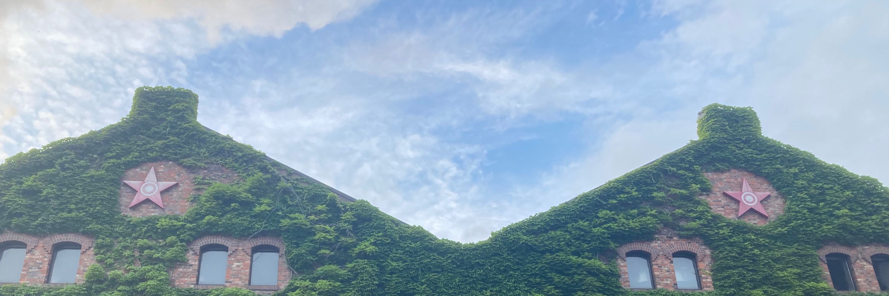 𝑨𝒚𝒂𝒌𝒐𝒕𝒐