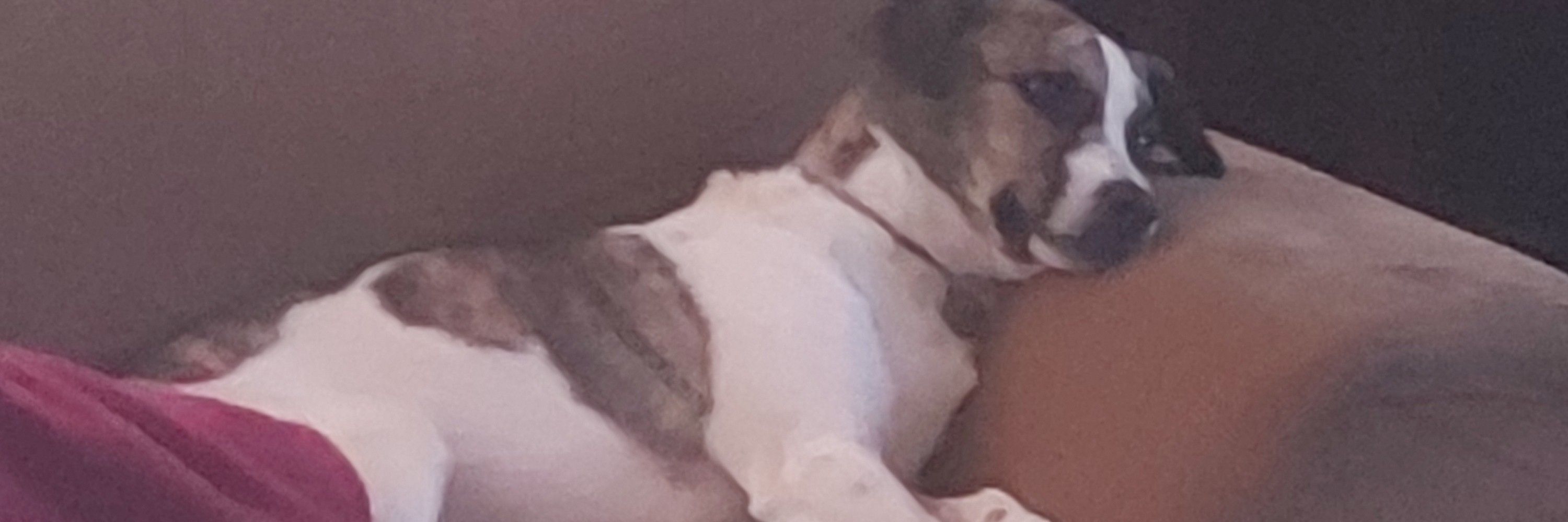 Pedroy