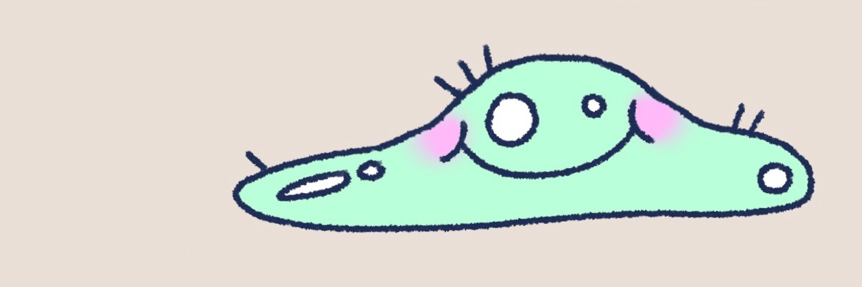 Cryptid (O◡o)