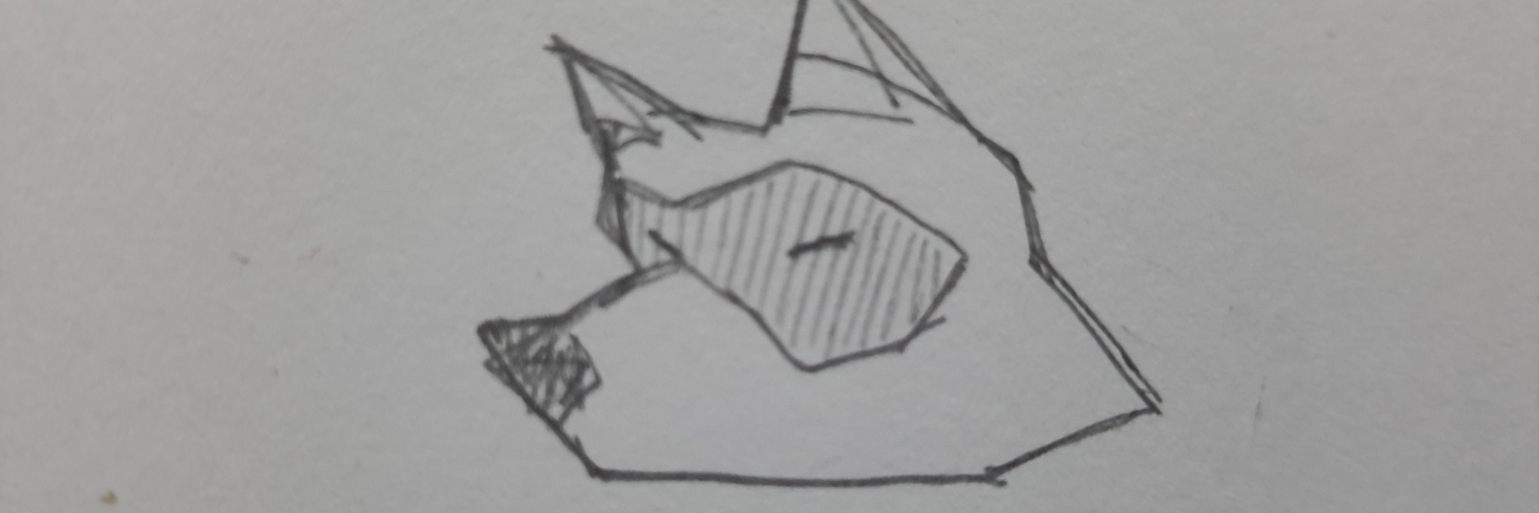 DyN