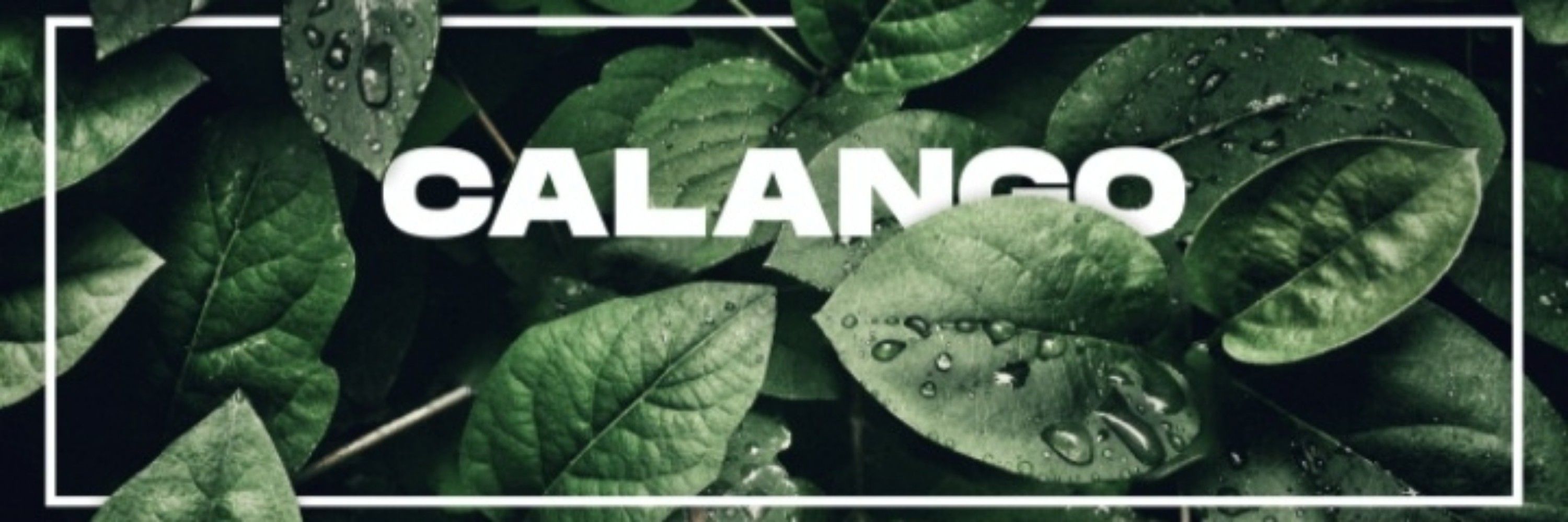 Sr.Calango