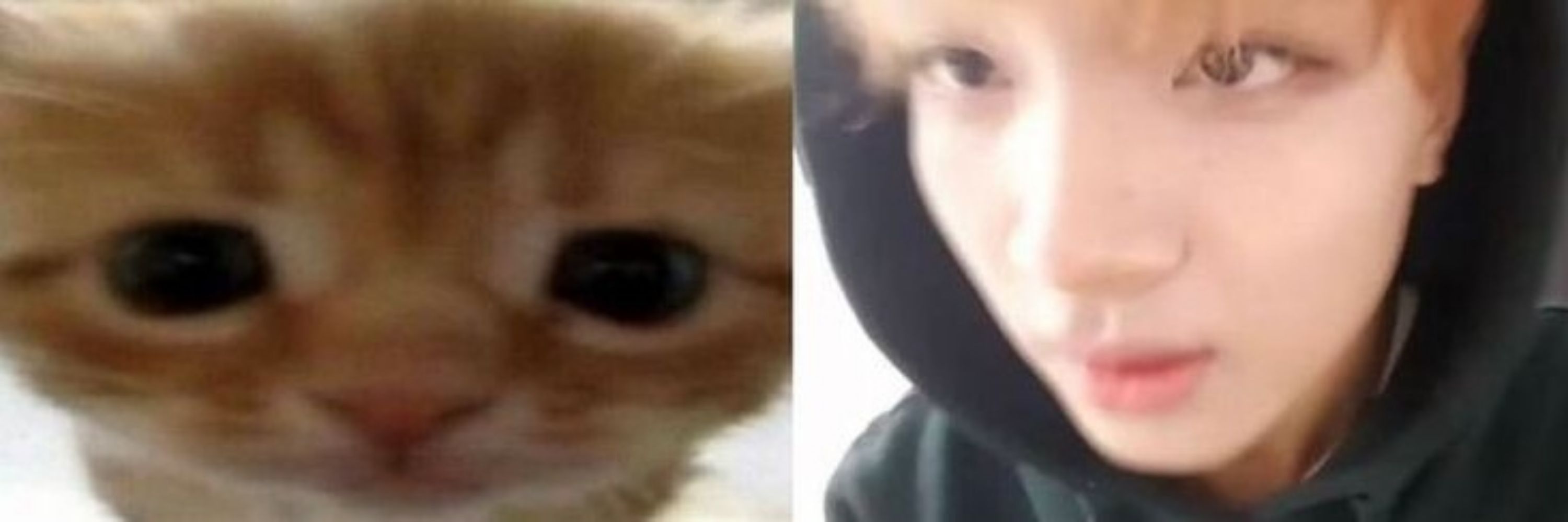 yuri do haechan 🏳️‍⚧️