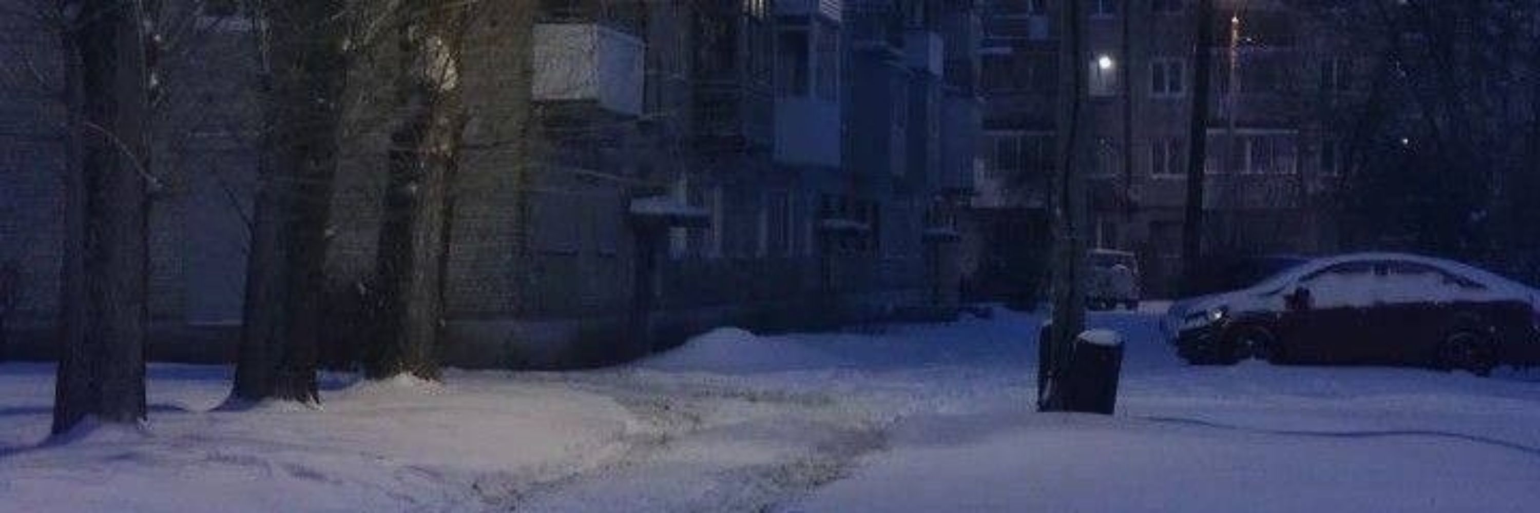 киса