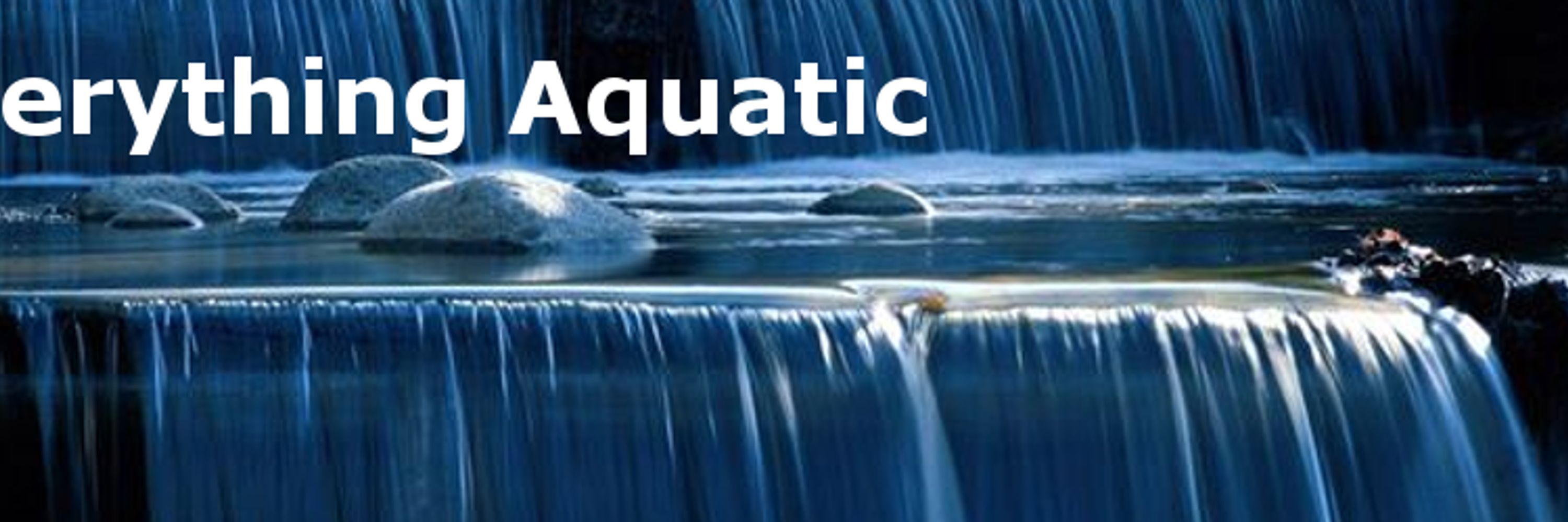Everything Aquatic