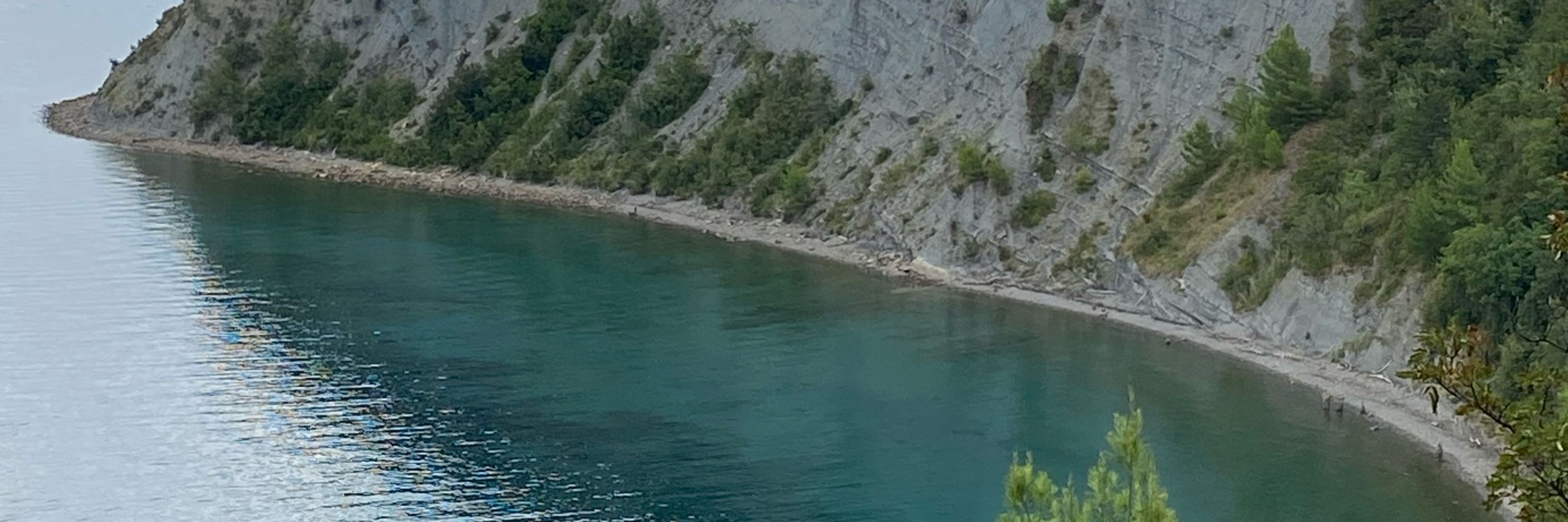 Šona
