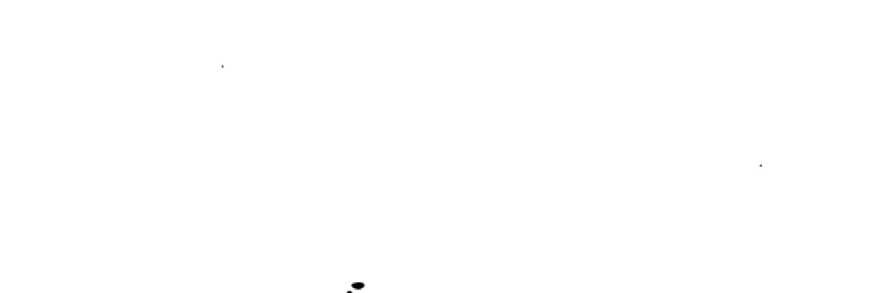 しろめがね
