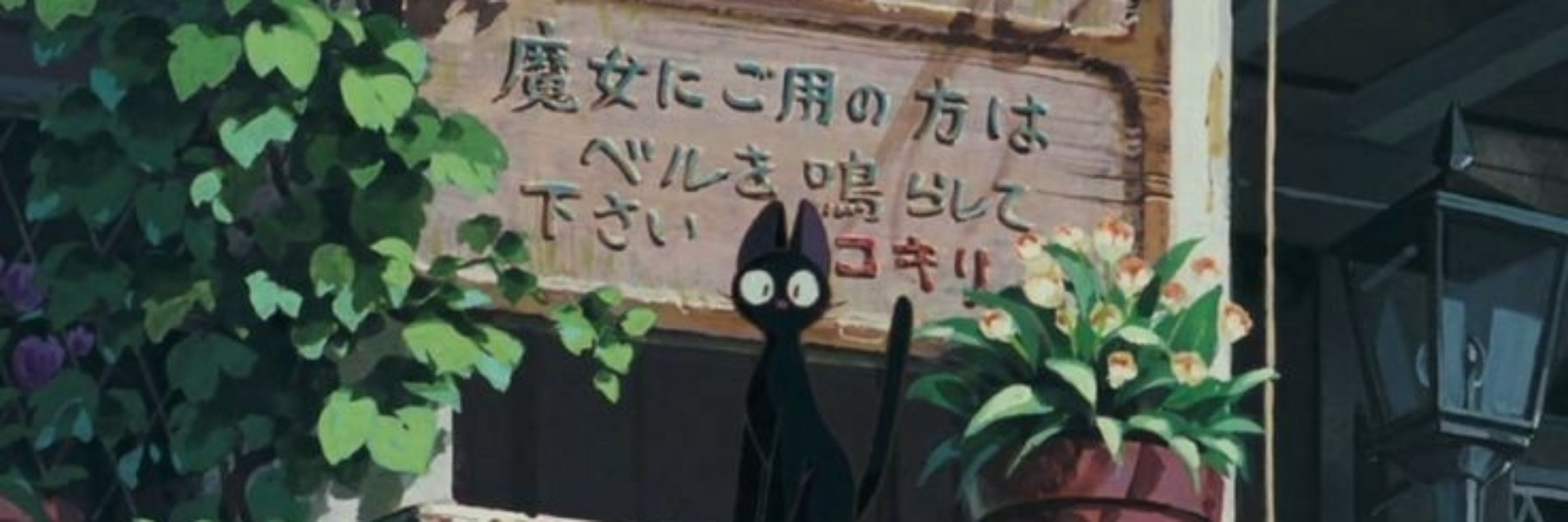 ree ᓚ₍ ^. .^₎ 🍉