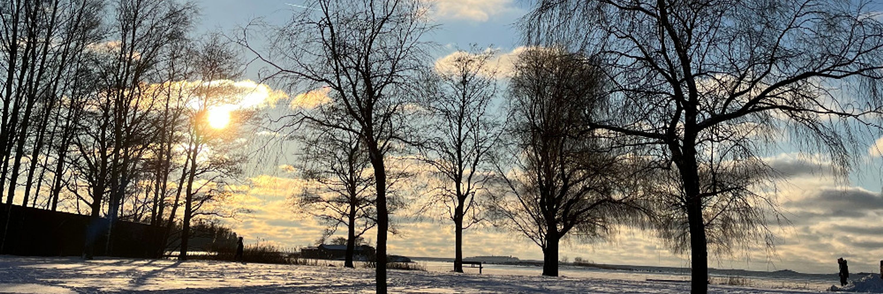 Minna Väkevä