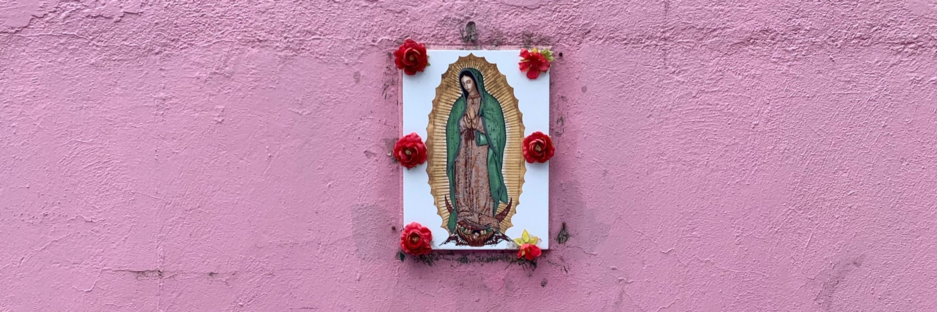 Sofía Rojo
