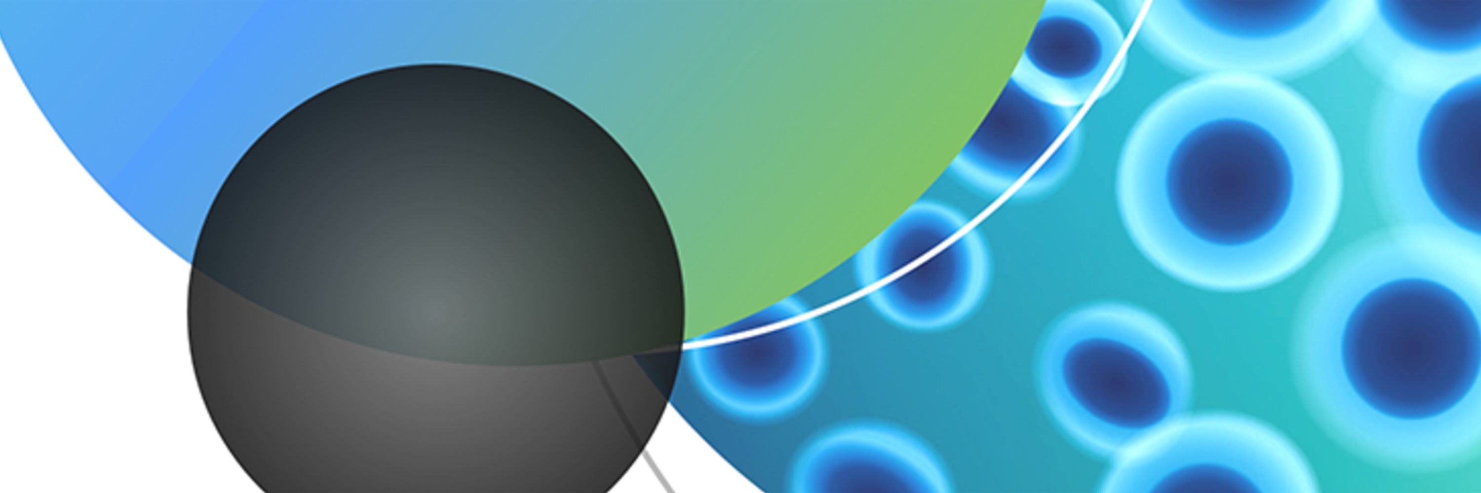 Single Cell Portal