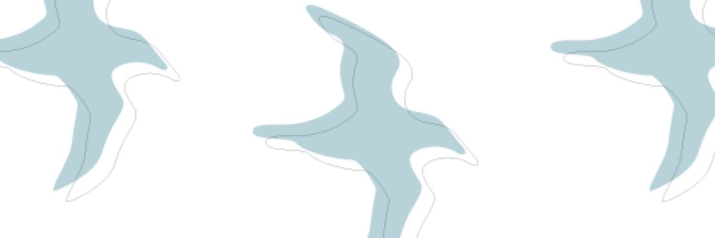 Antarctic Disability Project
