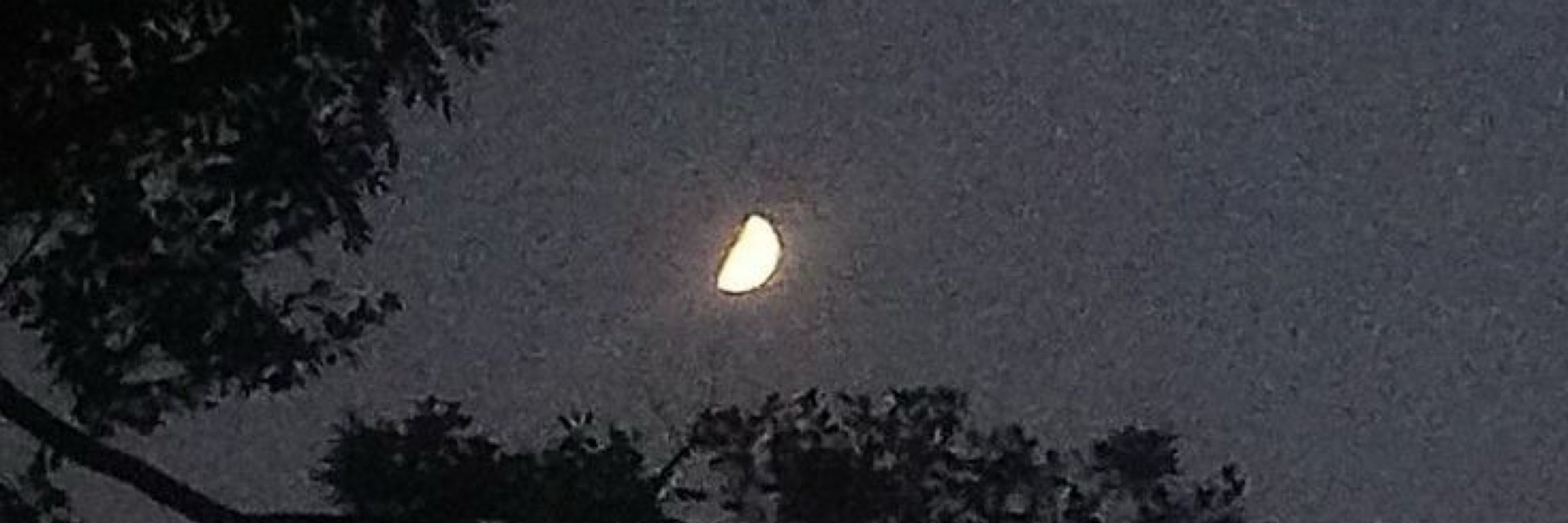 ستاره دنباله ندار