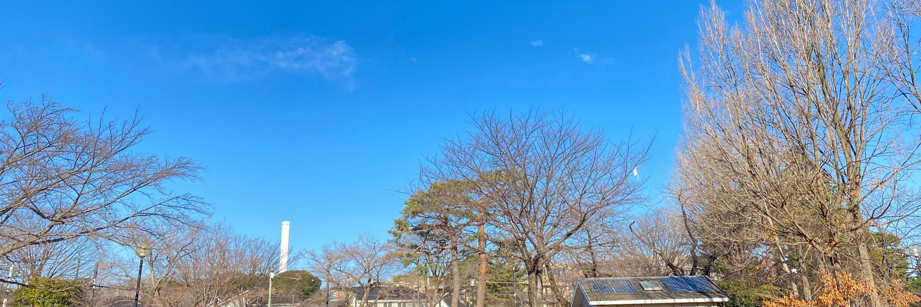 やまずだよ