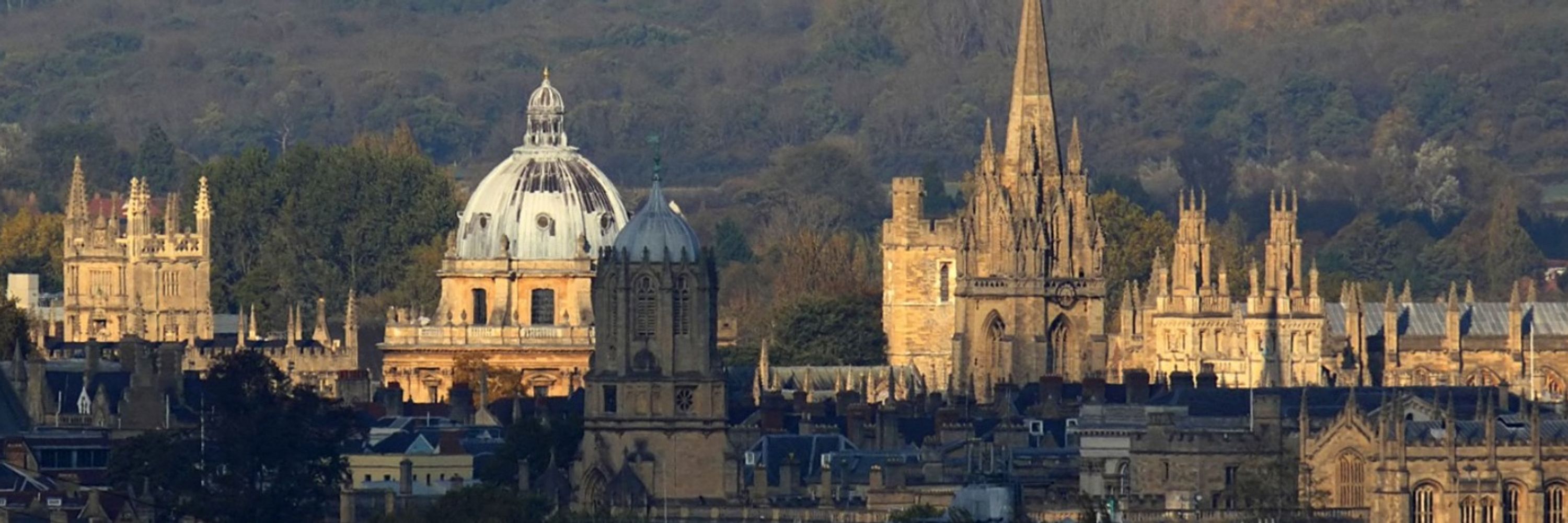 Oxford Summer School in Economic Networks